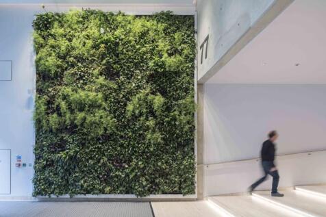 Living Green Wall