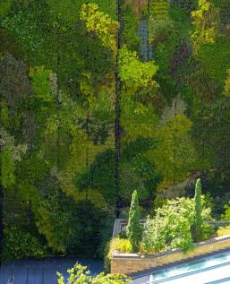Green Wall