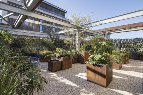Roof Terrace