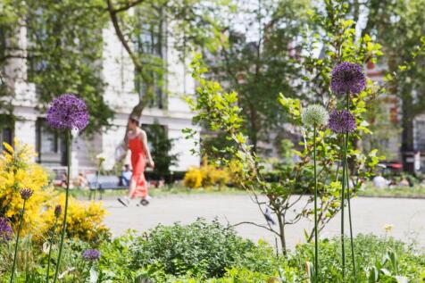 20 Bloomsbury Square