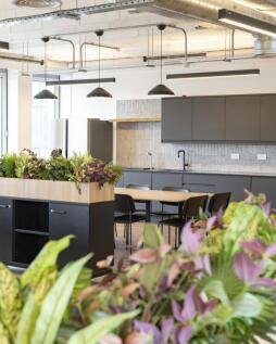 Kitchenette