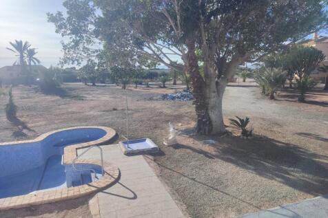 Property Image 42