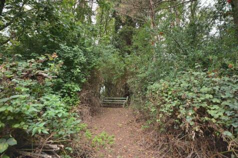 Property Image 37