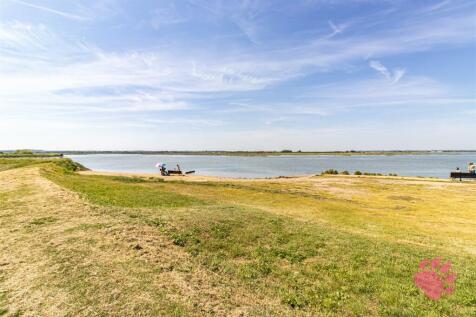 Overlooking Greenery/Estuary