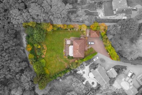 Drone Shot