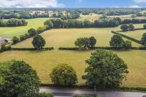 DJI_0167.jpg