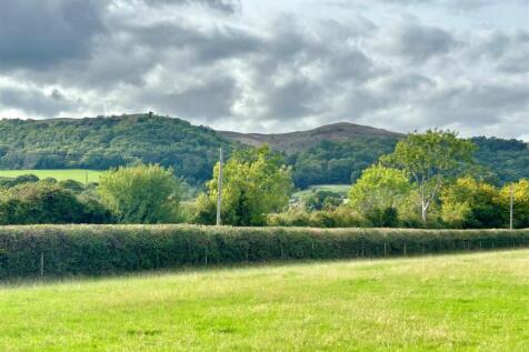 grounds farm 5.jpg