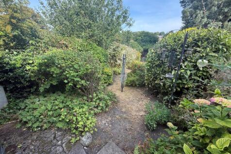 Shared Garden