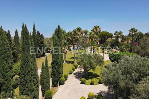 Property Image 63