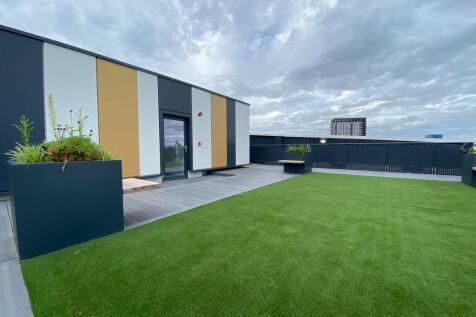 DT roof terrace2
