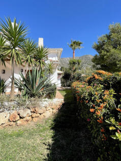 Property Image 36