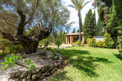 Property Image 46
