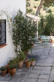 Property Image 52