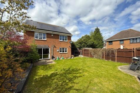 Rear Garden B.JPG