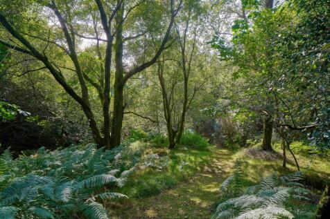 Property Image 22