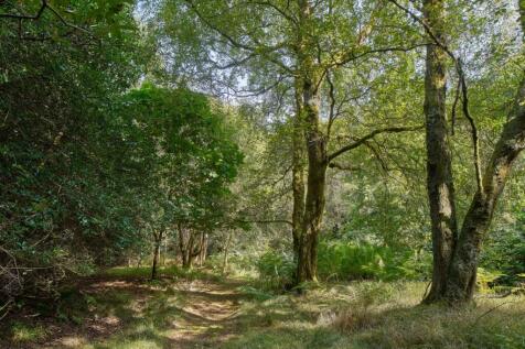 Property Image 36