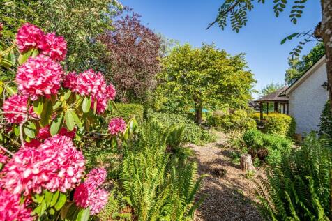 Property Image 58