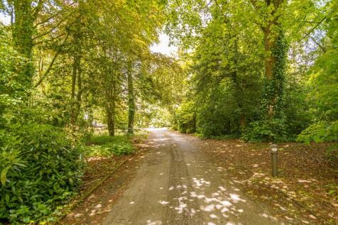 Property Image 63