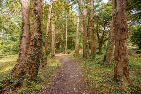 Property Image 64