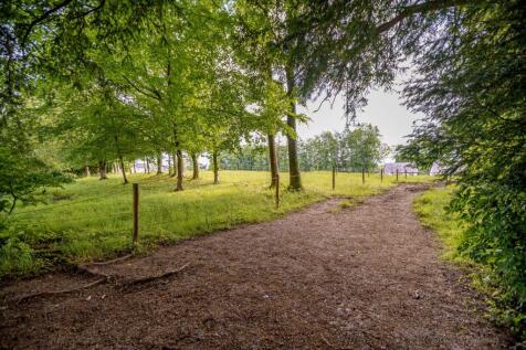 Property Image 65