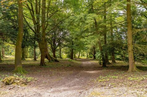 Property Image 66