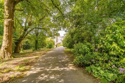 Property Image 67