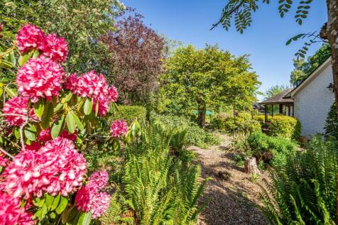 Property Image 58