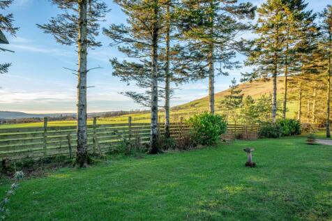 Property Image 64