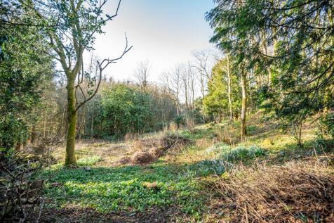 Property Image 65