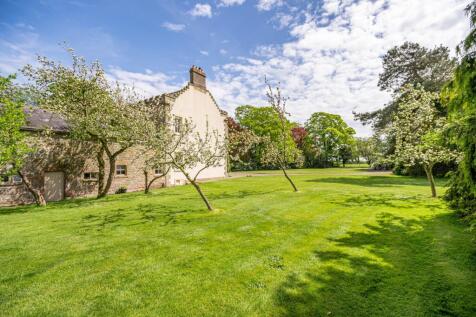 Property Image 71