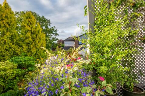 Property Image 61