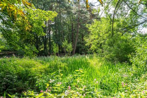 Property Image 69