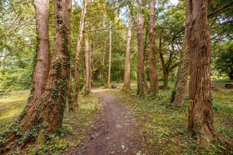 Property Image 64