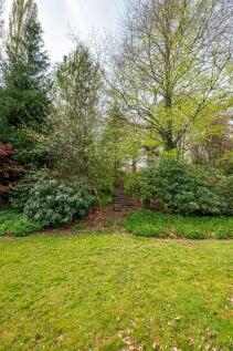 Property Image 58