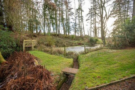 Property Image 52