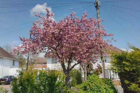 CB Helgiford Gardens.jpg
