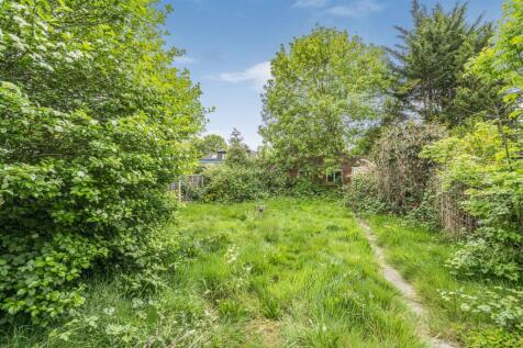Parkfield Road Garden2.JPG