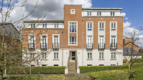 Property Image 8
