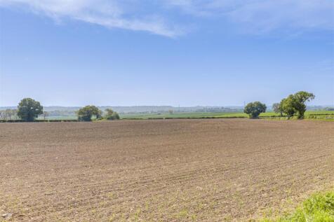 010525_13.jpg