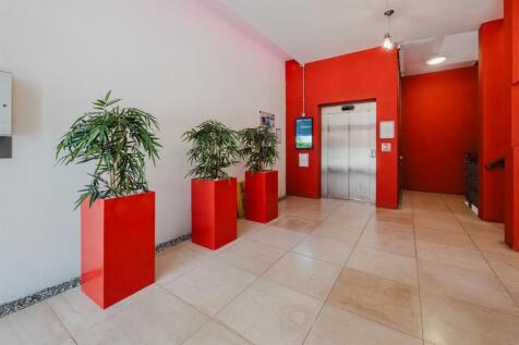 P1899135.jpg