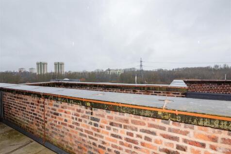 P1588777.jpg