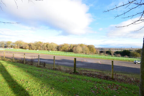 Partial racecoure views