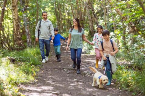 Family walk in mousehold heath