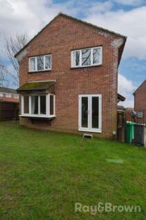 Property Image 56