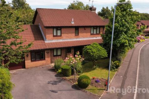 Property Image 43