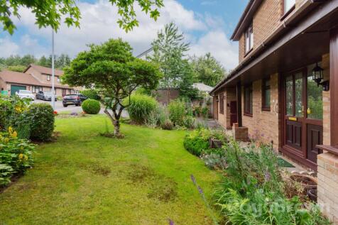Property Image 45