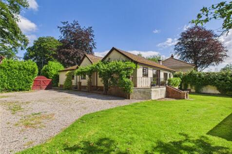 Garden/Driveway