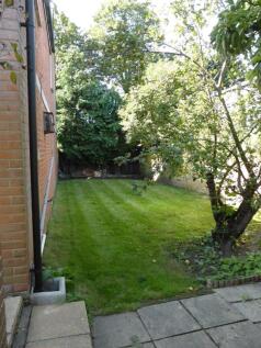 8M Garden.jpeg