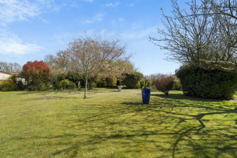 Garden 3