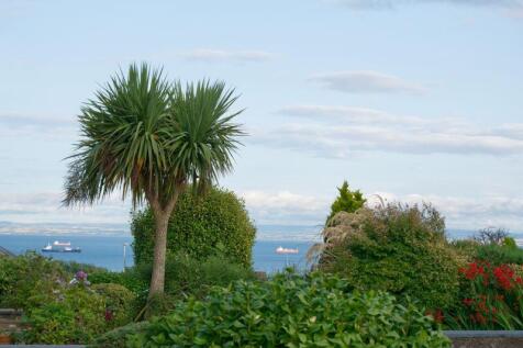 Front Garden View